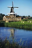 Netherlands may protect labour market after EU enlargement