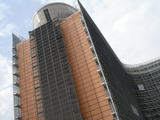 Berlaymont groot