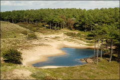 Natuurgebied met bossen en een meer bij Egmond, Nederland