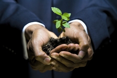 Plant met aarde in handen