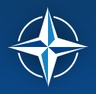 Logo NAVO