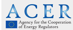 logo ACER