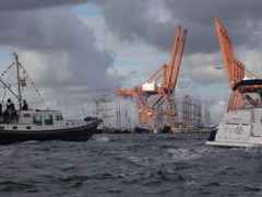Bedrijvigheid in Nederlandse haven