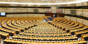 Stemming in het Europees Parlement Stemming in het Europees Parlement