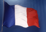 vlag Frankrijk wapperend
