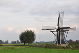 Nederlandse natuur met molen op de voorgrond