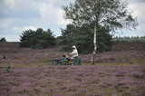 Nederland