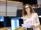 Sophie in 't Veld