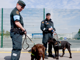 Leden van de Europese grens- en kustwacht met honden