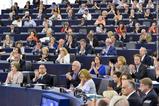 Europarlementariërs in het Europees Parlement
