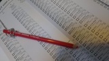 Een stemformulier met rood potlood.