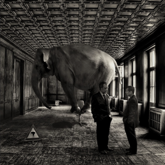 twee mannen in een kamer met olifant op de achtergrond